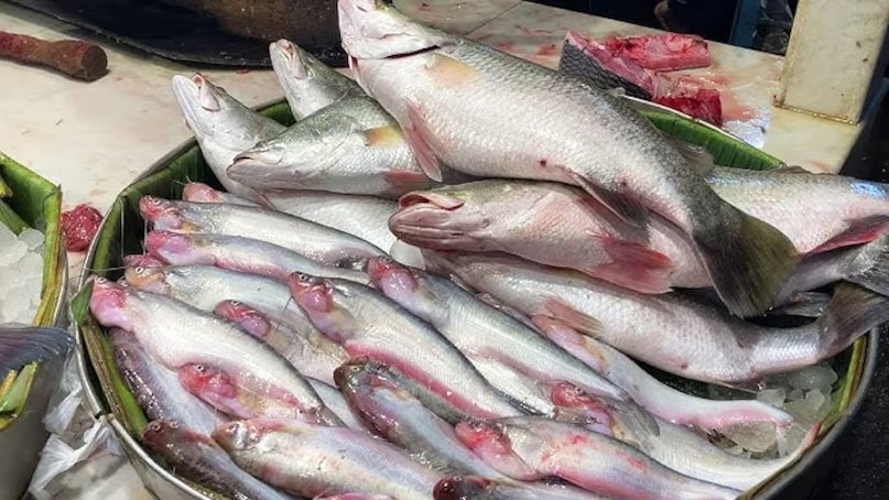 आज इस रिपोर्ट में हम वैसी ही दो शानदार जादुई पोषक गुणों वाली मछलियों की जानकारी साझा करने जा रहे हैं. इन्हें खाने की सलाह खुद विशेषज्ञ दे रहे हैं. वे कौन सी दो मछलियां हैं जो बच्चों से लेकर बड़ों तक सभी को तंदुरुस्त रखेंगी? त्वचा-बालों से लेकर हड्डियों या दिल, सबको कौन सी मछली के पोषक तत्व स्वस्थ रखते हैं? चलिए पहचान लेते हैं उन दो 'बहुमूल्य' मछलियों को!