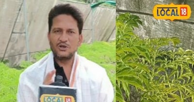 Bihar Farmer Becomes 'Sethji' with Profitable Elephant Foot Yam Cultivation