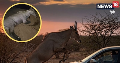 गुना में अजीबोगरीब हादसा.