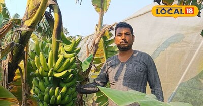 Bihar Farmer Becomes Millionaire Using Google for Modern Banana Farming