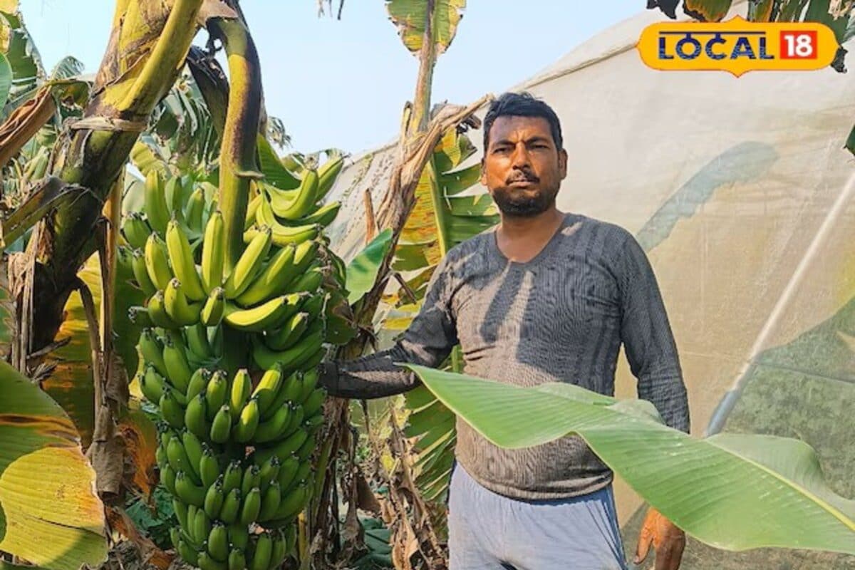 इंटरनेट ने बदला खेती का अंदाज! गूगल की सलाह ने बिहार के इस किसान को बनाया लखपति