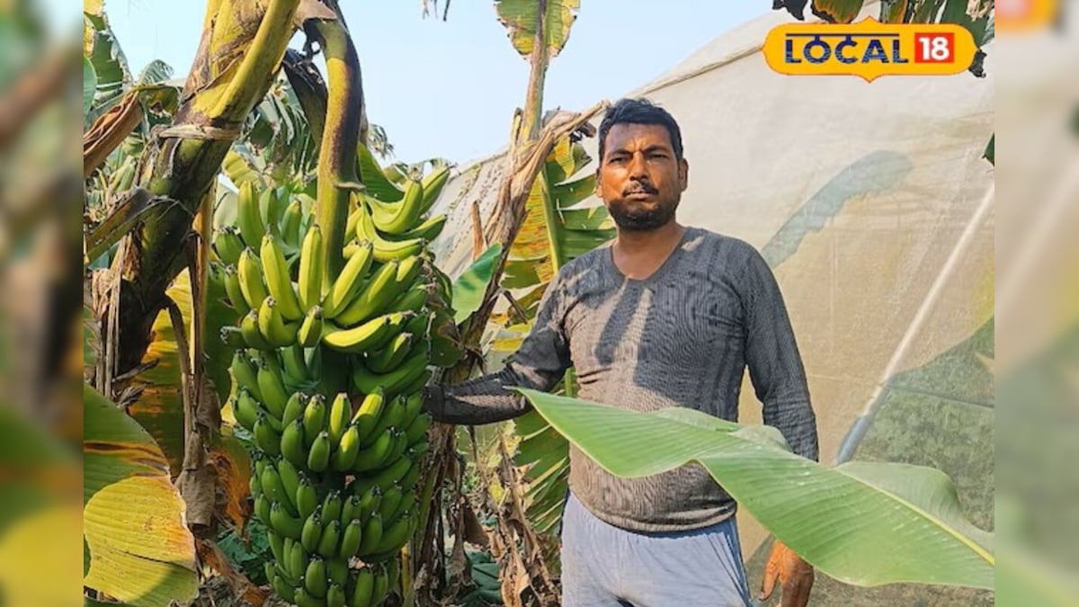 इंटरनेट ने बदला खेती का अंदाज! गूगल की सलाह ने बिहार के इस किसान को बनाया लखपति