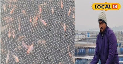 From Truck Driver to Fishery Tycoon: Pintu Yadav's 1 Crore Turnover Success Story