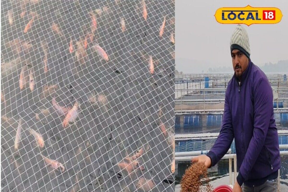 खुद के साथ बदली 40 परिवारों की भी किस्मत! स्टीयरिंग छोड़ बने मत्स्य उद्यमी टर्नओवर 1 करोड़ के पार