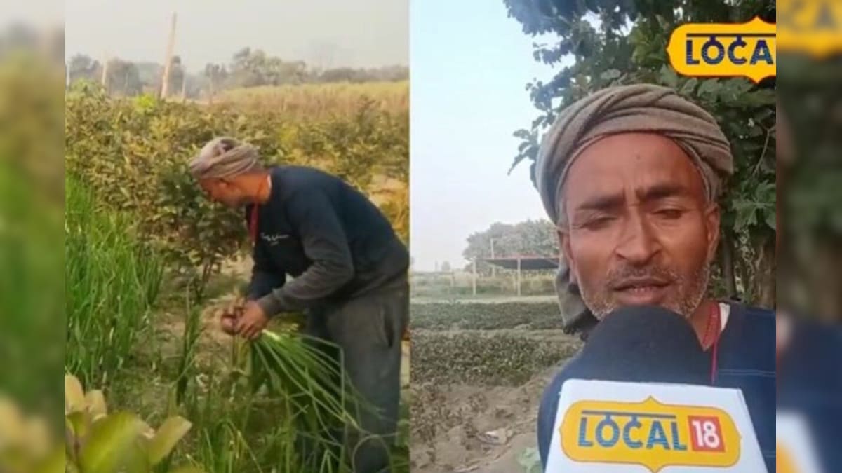 Video: सैलरी वाली खेती! हिट है 1 लगाओ 3 पाओ वाला फॉर्मूला, हर महीने ₹1 लाख का शुद्ध मुनाफा