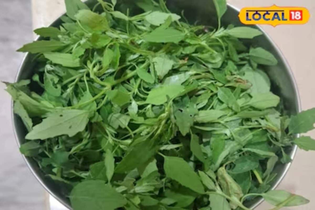 चूल्हे की खुशबू और साग का स्वाद ठंड में देसी खाने का उठाएं मजा स्वाद और सेहत दोनों रहेगा मस्त