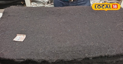 थुलमा 15 से 20 साल तक आराम से चलता है,