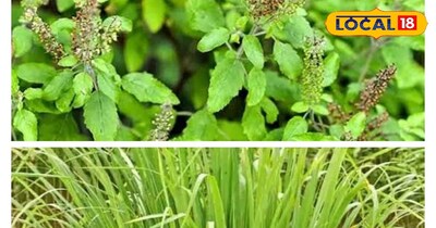 तुलसी और जराकुश 