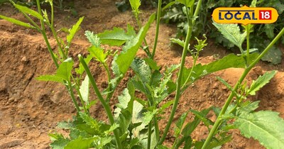 सरसों के पत्तों की भुजिया 