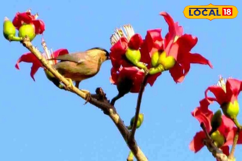 Moradabad news, hindi news, local news, up news, मुरादाबाद समाचार, हिंदी समाचार, लोकल समाचार, यूपी समाचार।