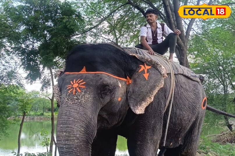 हाथी गांव में दुनियाभर की दिग्गज हस्तियां कर चुकी हैं सवारी हाथी गांव में दुनियाभर की दिग्गज हस्तियां कर चुकी हैं सवारी