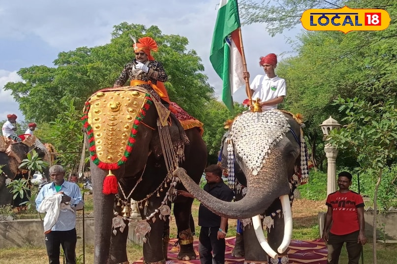 लाखों के गहने पहनते हैं यहां हाथी और हथनियां लाखों के गहने पहनते हैं यहां हाथी और हथनियां