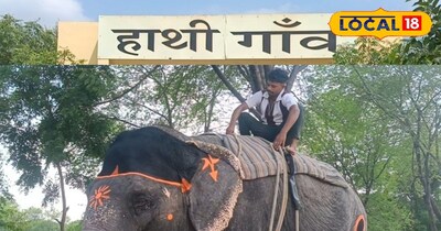 जयपुर के आमेर में स्थित हैं देश का पहला हाथी गांव। 