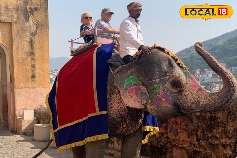 हाथी गांव से जुड़ा हैं हजारों लोगों का रोजगार हाथी गांव से जुड़ा हैं हजारों लोगों का रोजगार