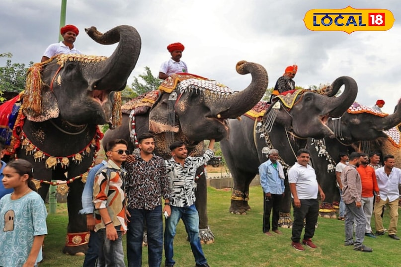 हाथी गांव में अपने नाम और सवारी के लिए फेमस हैं यहां की हथनियां हाथी गांव में अपने नाम और सवारी के लिए फेमस हैं यहां की हथनियां