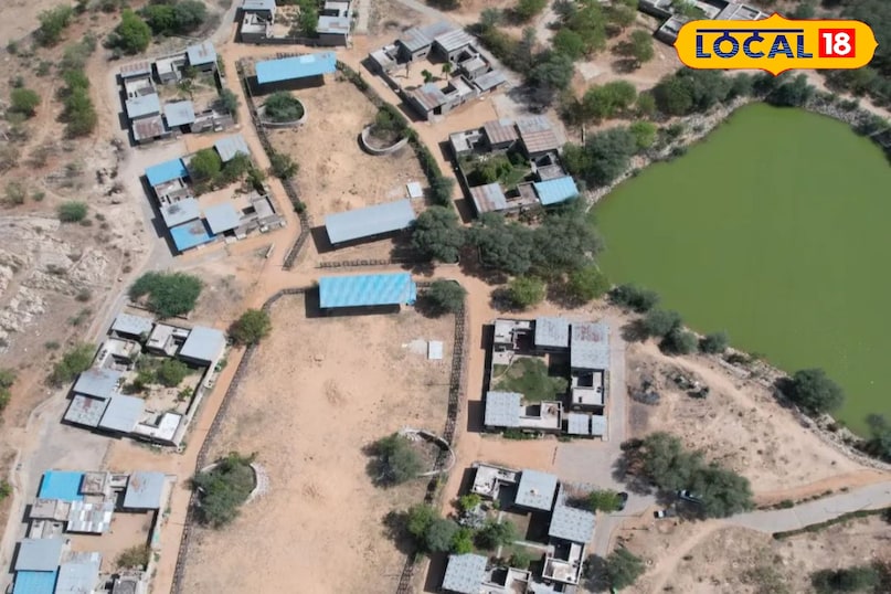 भारत का सबसे सुंदर हाथी गांव हैं जयपुर का हाथी गांव भारत का सबसे सुंदर हाथी गांव हैं जयपुर का हाथी गांव