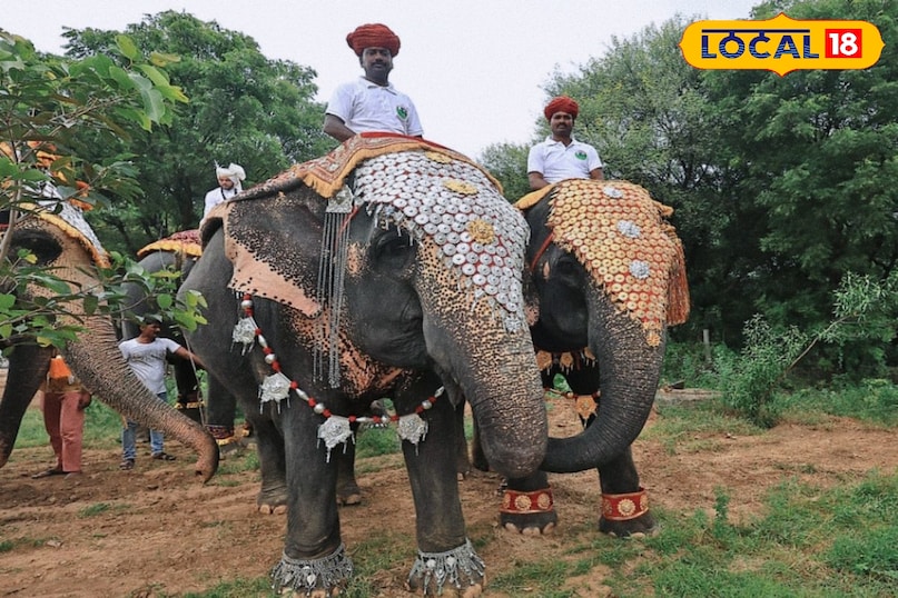 हाथी गांव में सवारी के पर्यटकों को मिलता हैं भरपूर मनोरंजन हाथी गांव में सवारी के पर्यटकों को मिलता हैं भरपूर मनोरंजन