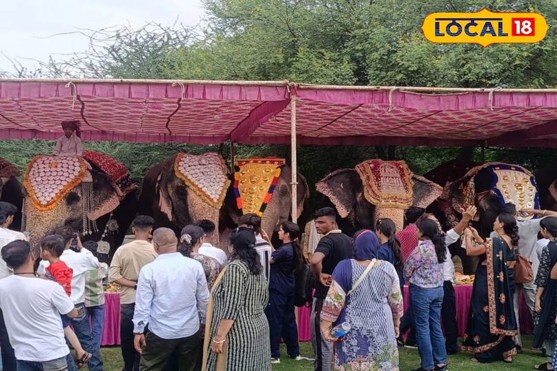 हर साल होता हैं हाथी गांव में भव्य कार्यक्रम का आयोजन हर साल होता हैं हाथी गांव में भव्य कार्यक्रम का आयोजन