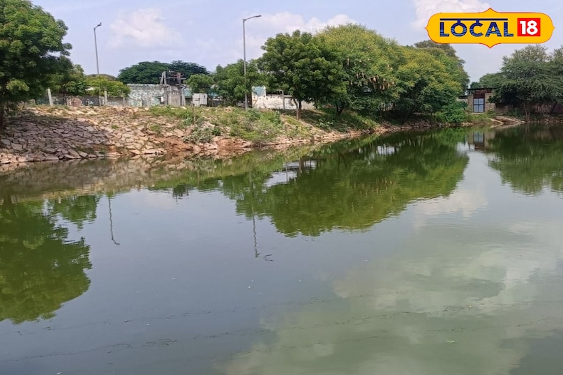 हाथी गांव में हाथियों के लिए हैं तमाम सुविधाएं हाथी गांव में हाथियों के लिए हैं तमाम सुविधाएं