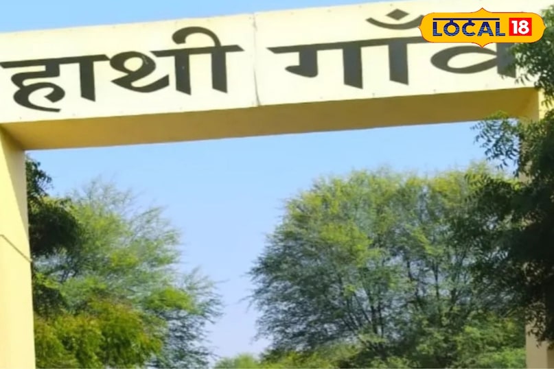 हाथी गांव देखने के लिए इतना लगता हैं टिकट हाथी गांव देखने के लिए इतना लगता हैं टिकट