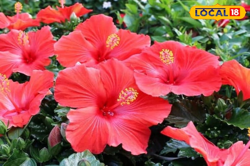 religious and cultural importance 