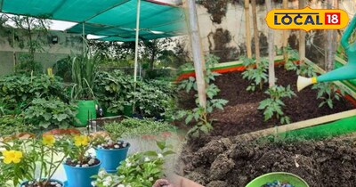 गार्डेनिंग में काला खाद