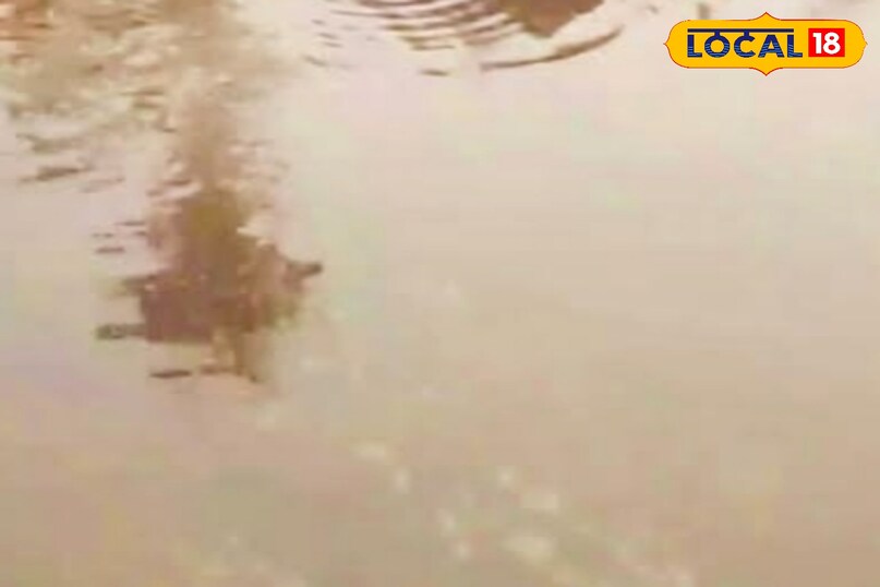 पलामू जिला मुख्यालय मेदिनीनगर से आने वाले पर्यटक एनएच-39 के जरिए दुनियाखांड होते हुए बरवाडीह पहुंच सकते हैं. बरवाडीह से मंडल डैम के रास्ते 27 किलोमीटर दूर झरना गांव पहुंचकर दाईं ओर लगभग 3 किलोमीटर की दूरी तय करने पर ततहा झरना पहुंचा जा सकता है.