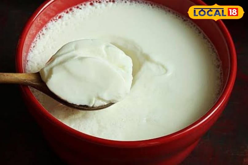 दही सालो भर खाना चाहिए दही सालो भर खाना चाहिए