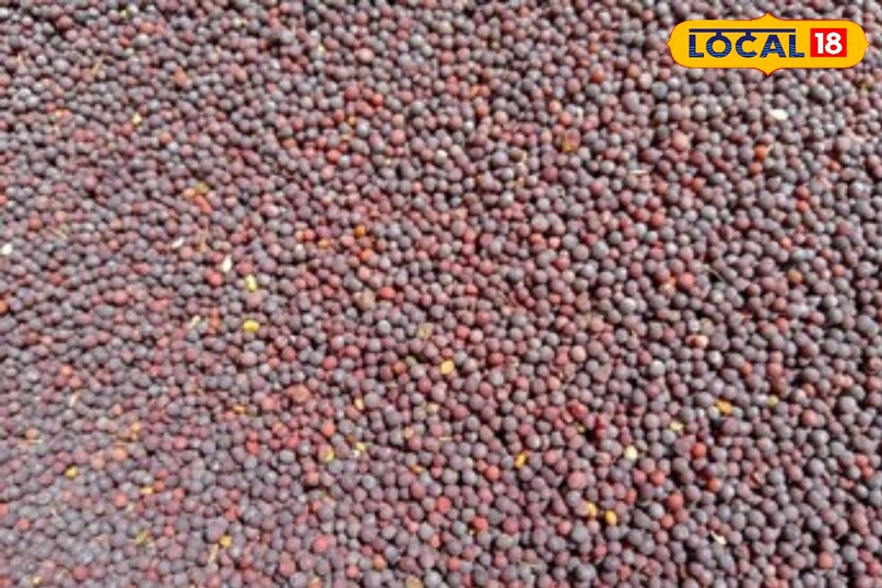 सरसो या लाल मिर्च से भी घर मे दही जमा सकते है 