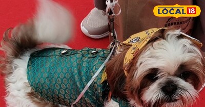 स्टाइलिश ड्रेस में खूंखार डॉग