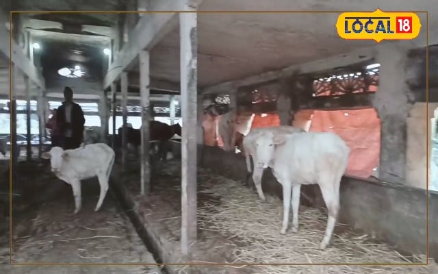 देश के प्रथम राष्ट्रपति ने की थी दरभंगा के इस गौशाला की तारीफ, आज है बुरा हाल