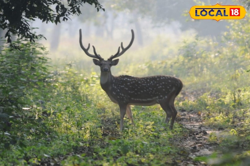 पर्यटकों का केंद्र 