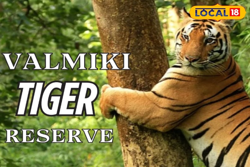 प्रसिद्ध टाइगर रिज़र्व 