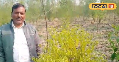 चंदन की खुशबू।