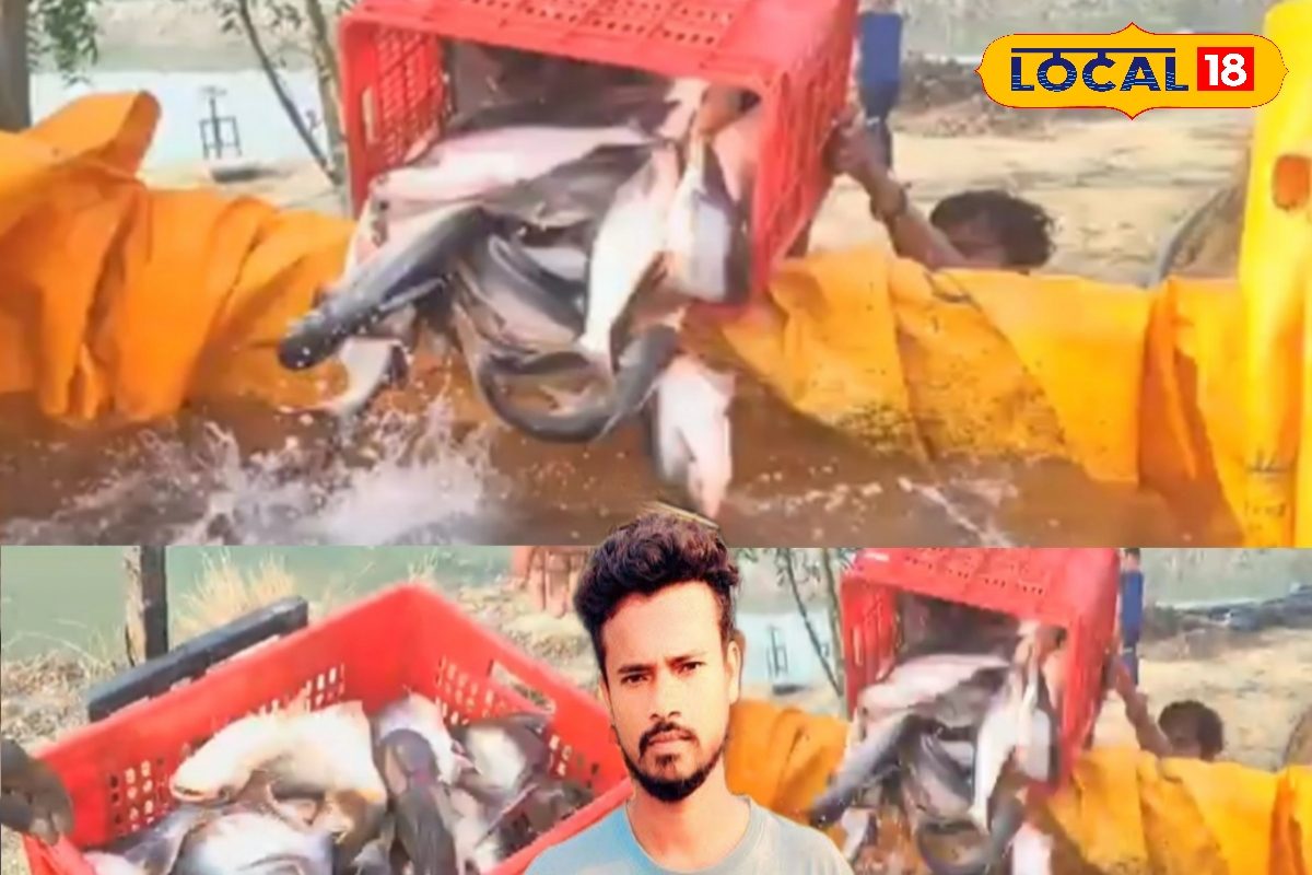 Business Idea: नौकरी छोड़ी मछली पालन से 15 लाख कमाई! युवाओं के प्रेरणा बने गोविंद ने खोला सफलता का राज