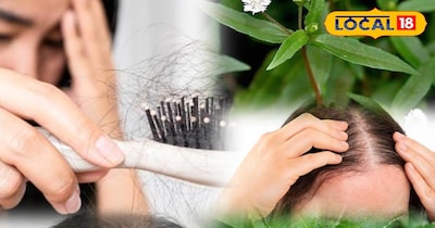 भृंगराज