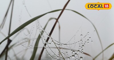 राजस्थान में कड़ाके की सर्दी 