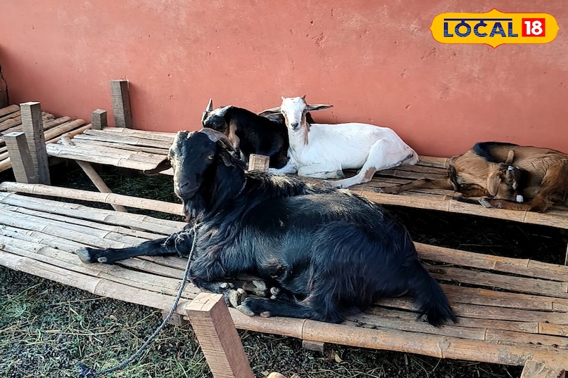 30 हजार रुपये का शुद्ध लाभ