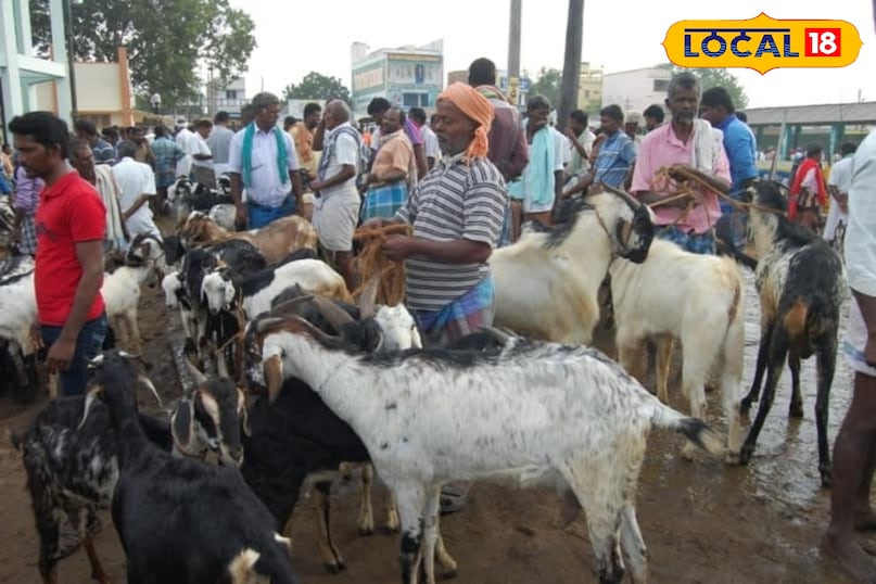 लोकल बाजार