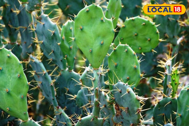 Balance of health and Vastu