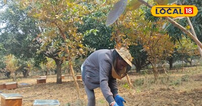 देवघर मैं पहली बार मधुमक्खी पालन कर रहे किसान कृष्ण यादव