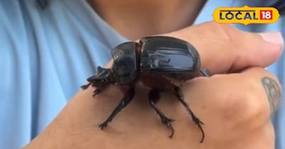 प्रतीकात्मक तस्वीर