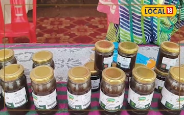 मजदूरी से मधुमक्खी पालन तक: भगवती चंदेल की शहद से सफलता की मीठी कहानी