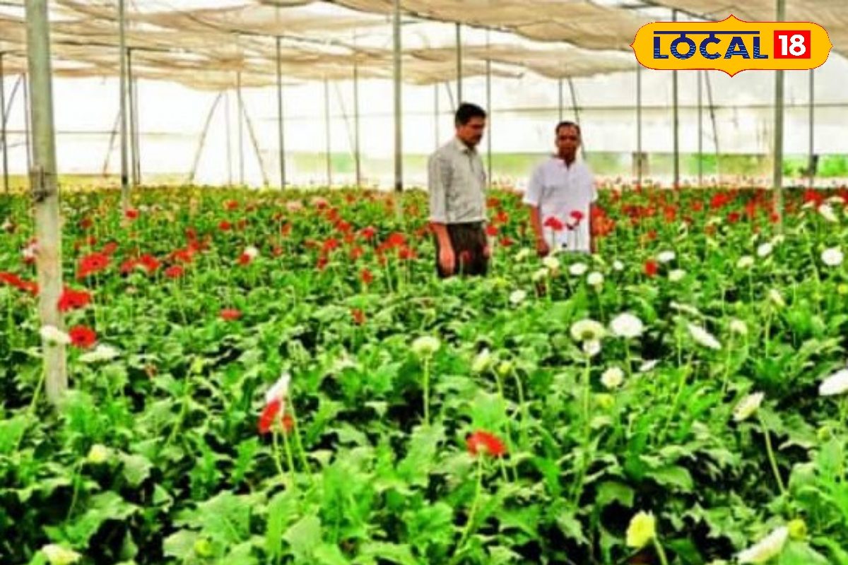 बेरोजगारों के लिए घर बैठे कमाई का मौका बैंक ऑफ इंडिया देगा मुफ्त प्रशिक्षण