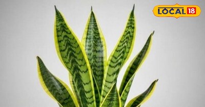 प्रतीकात्मक