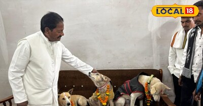 बालाघाट के पूर्व सांसद कंकर मुंजारे के पास तीन कुत्ते हैं.