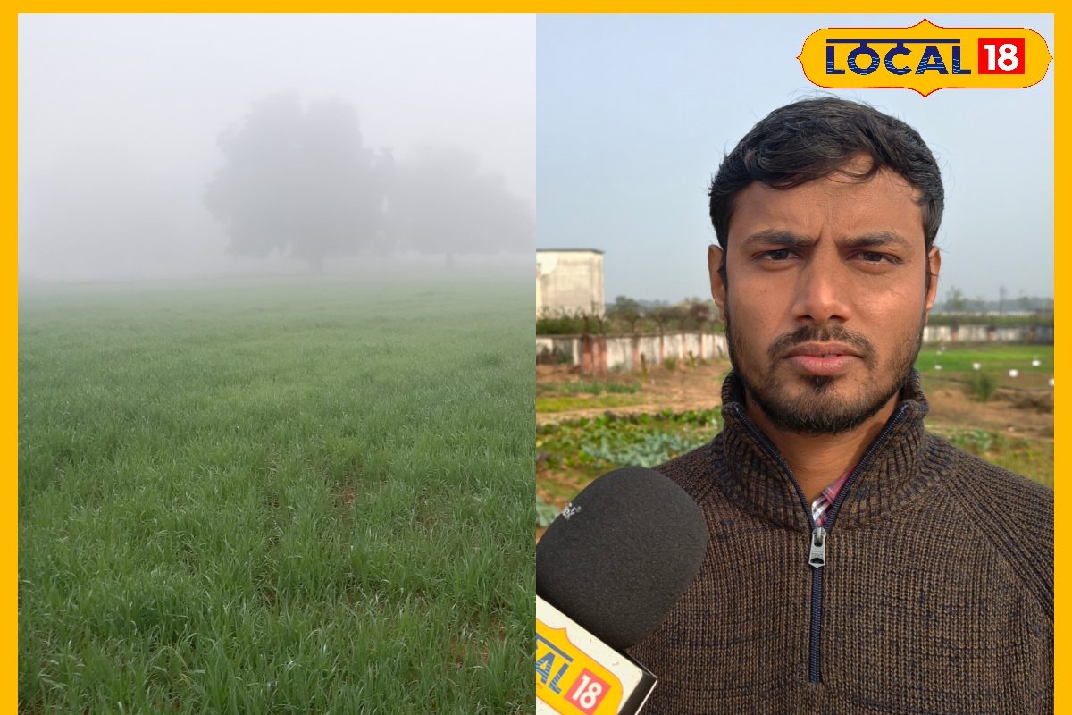 झुलस रही हैं फसलें डॉ अंकित का स्मोक और स्प्रे वाला नुस्खा नोट कर लें देखते ही देखते भागेगा पाला