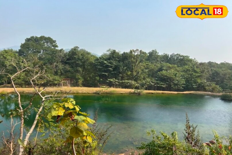 Tourism, tourism in Bihar, hill station near Bihar, tourist places, vacations places in Bihar, Hill station, छुट्टियों में कहां घूमें, बिहार की सबसे अच्छी जगह कौन सी है, local 18, Bihar Tourism, tourism in Bihar, hill station near Bihar, tourist places, vacations places in Bihar, Hill station, छुट्टियों में कहां घूमें, बिहार की सबसे अच्छी जगह कौन सी है, local 18, Bihar