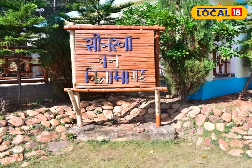 Tourism, tourism in Bihar, hill station near Bihar, tourist places, vacations places in Bihar, Hill station, छुट्टियों में कहां घूमें, बिहार की सबसे अच्छी जगह कौन सी है, local 18, Bihar Tourism, tourism in Bihar, hill station near Bihar, tourist places, vacations places in Bihar, Hill station, छुट्टियों में कहां घूमें, बिहार की सबसे अच्छी जगह कौन सी है, local 18, Bihar