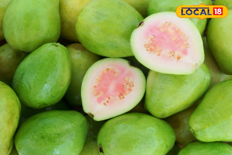 ठंड में अगर आपका भी पाचन बिगड़ा है अमरूद ही एकमात्र उपाय है जिसे दुरुस्त किया जा सके